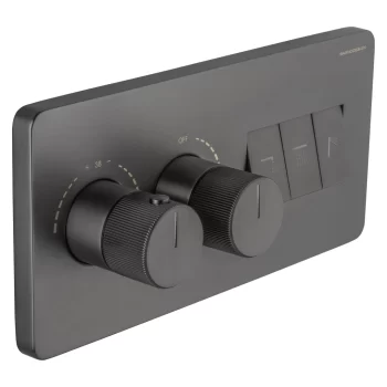 Stereo_FM_Thermostatic_with_2_Hole_outlet_Shower_Mixer