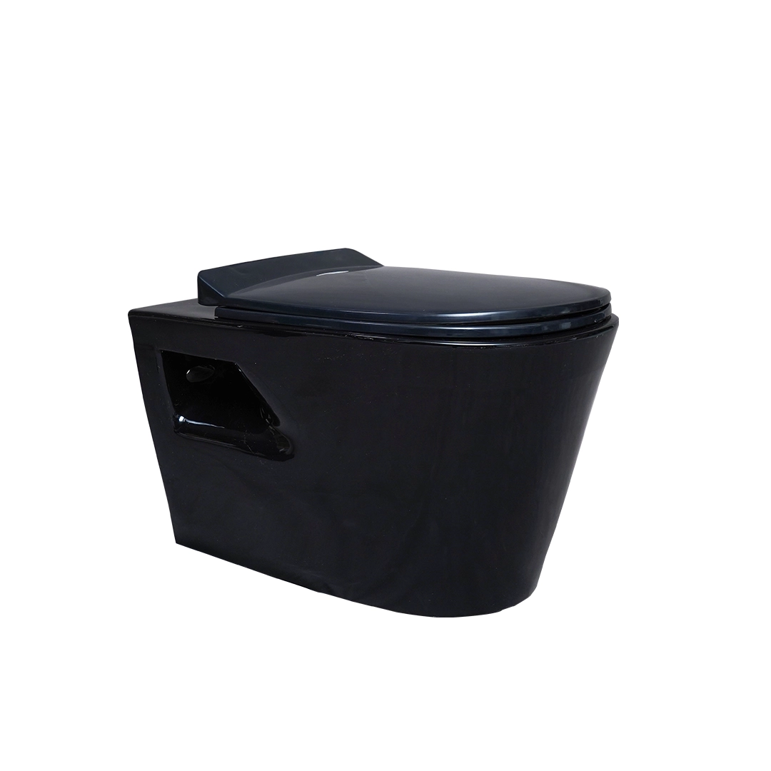 Vera Round Wall Mounted Rimless WC with Saet Cover