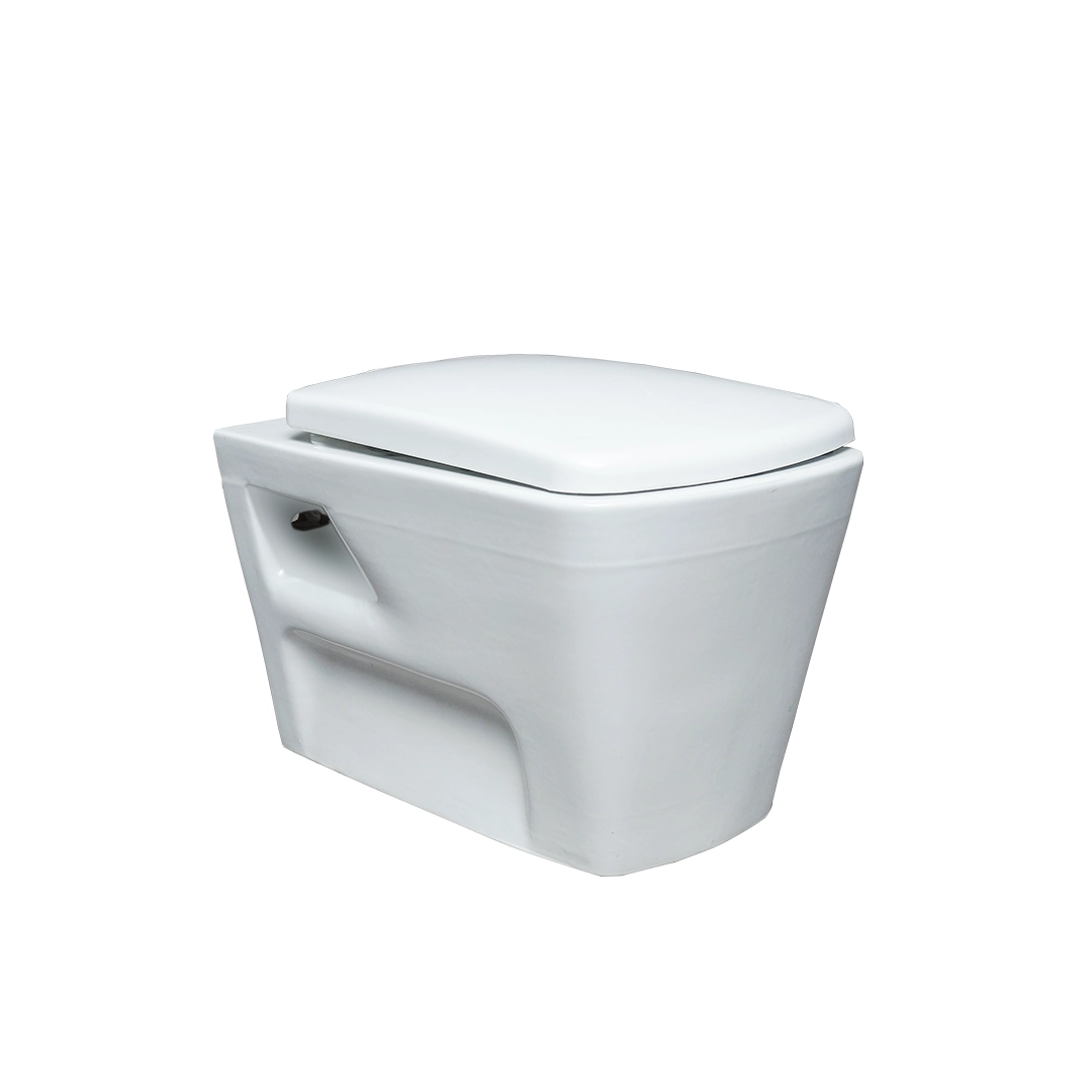 Cube Wall Mounted Rimless WC with Saet Cover