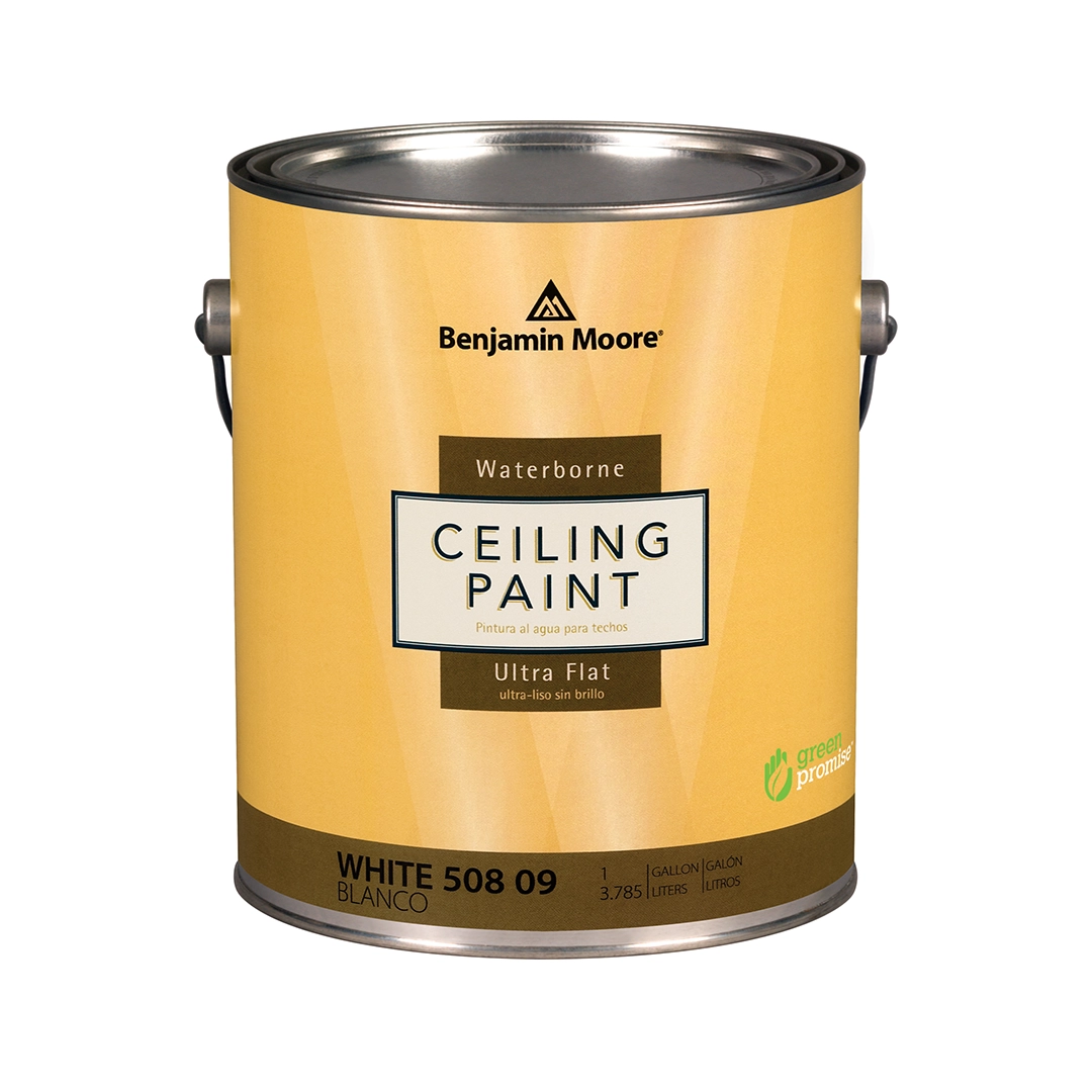 Ceiling Paint