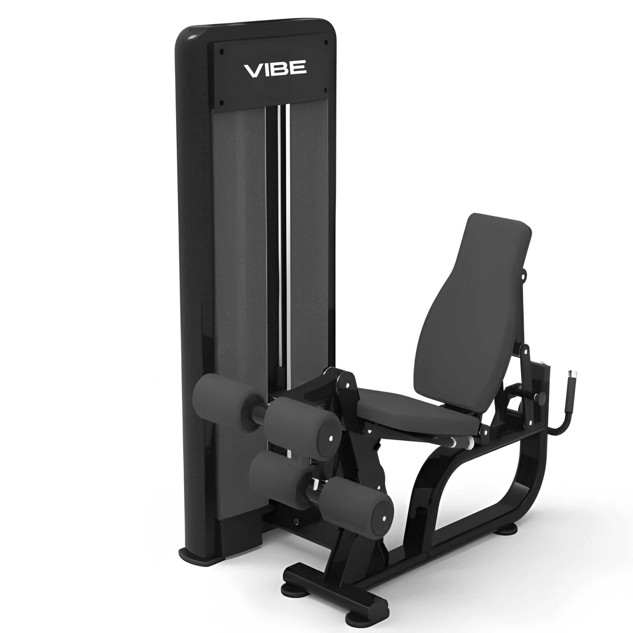 Leg Extension & Leg Curl