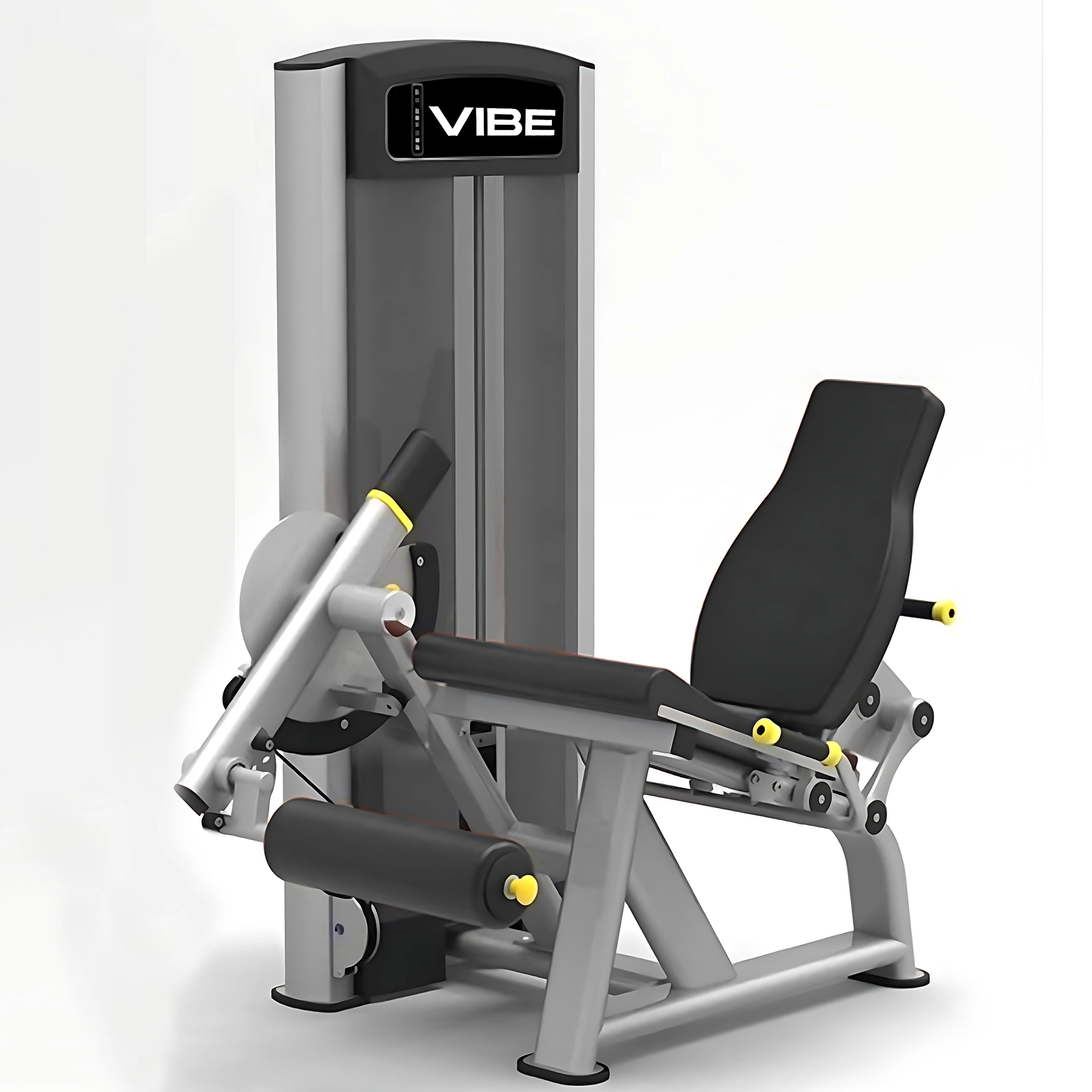 Leg Extension