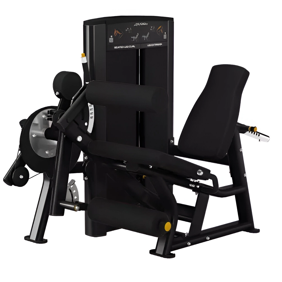 Axiom Series Seated Leg Curl-Leg Extension