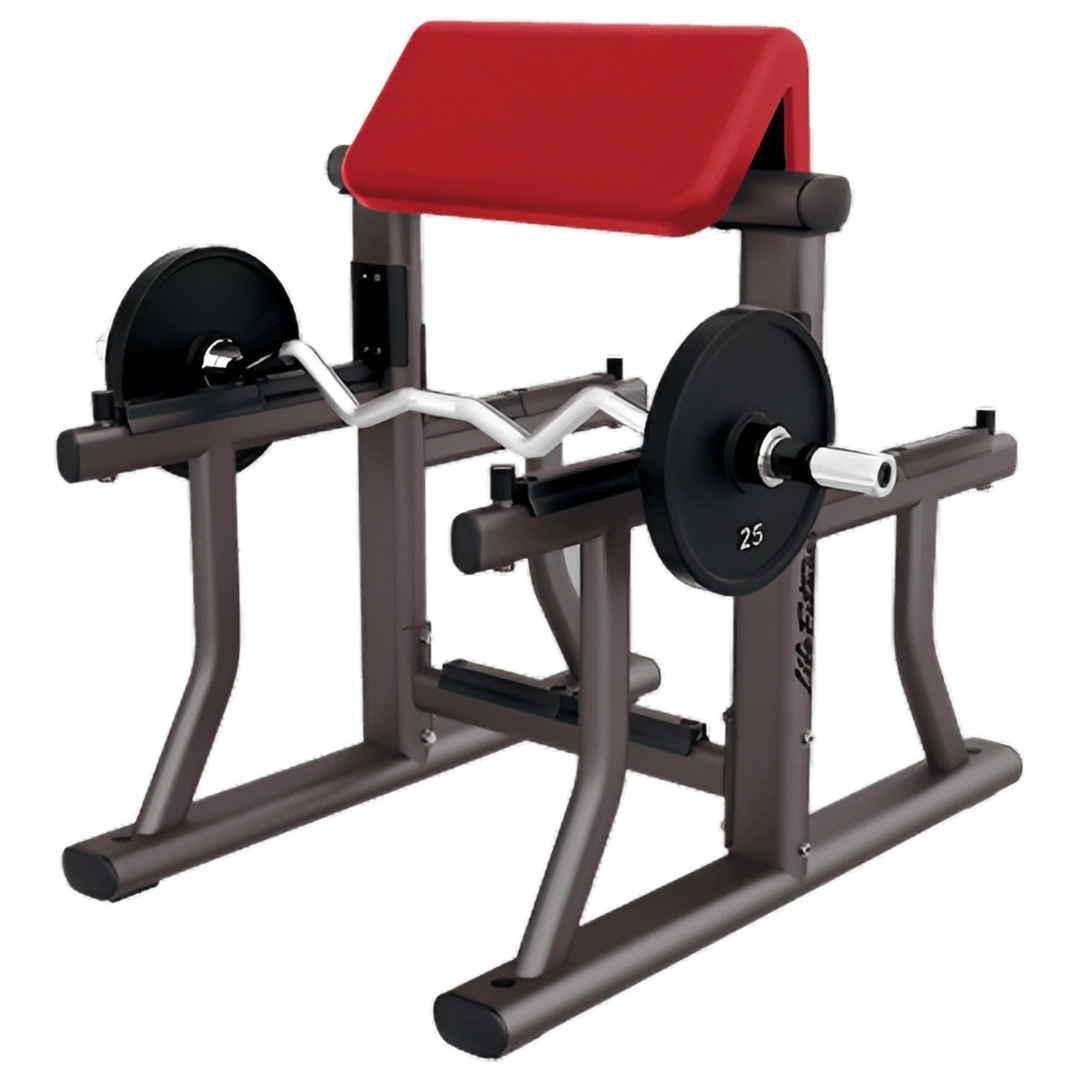 Signature Arm Curl Bench