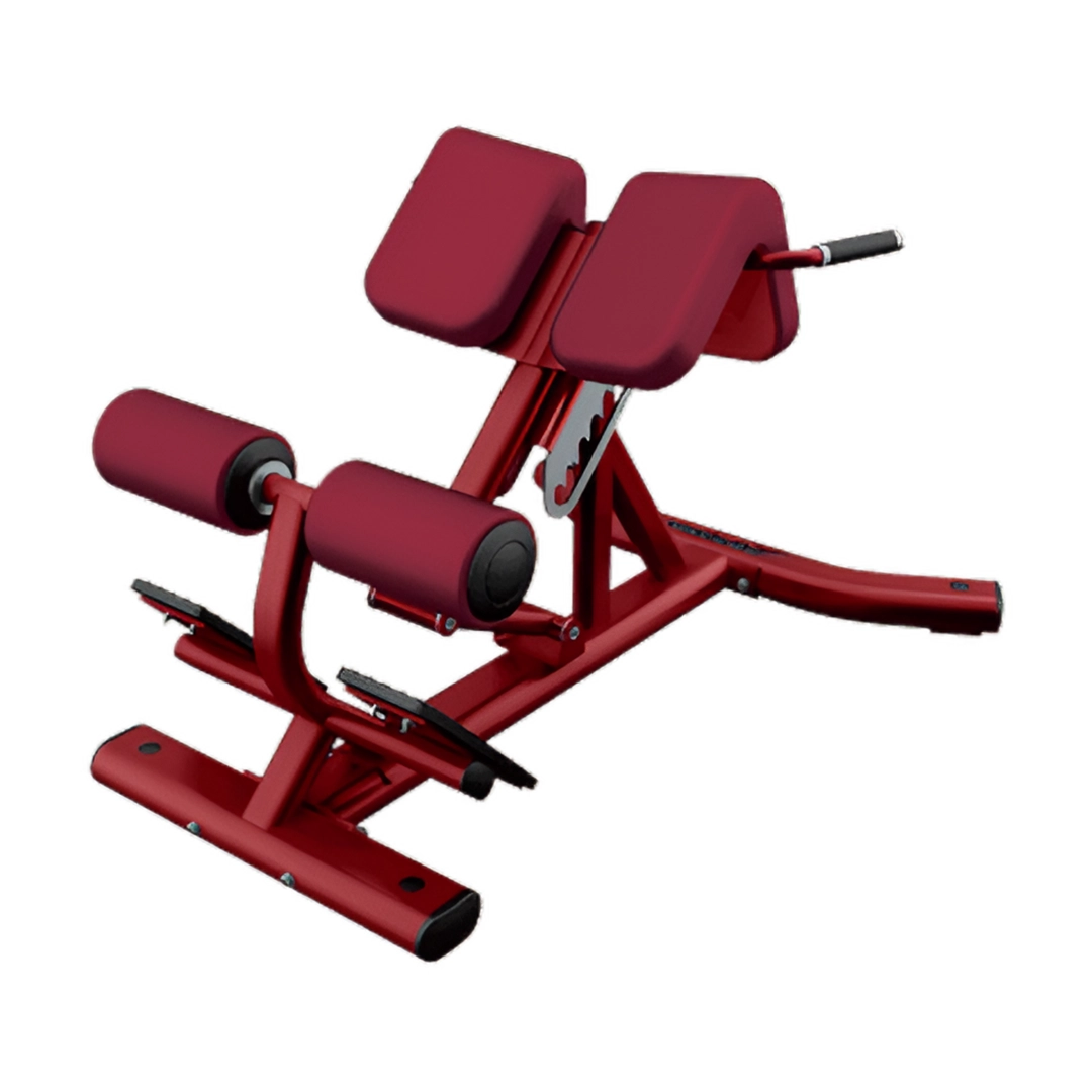 Signature Back Extension