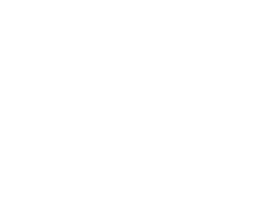VIBE-Logo-White